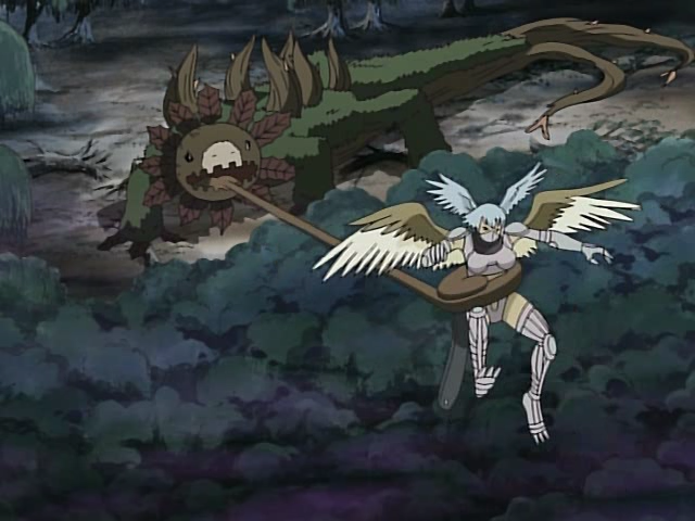 Digimon Frontier (Raccon)